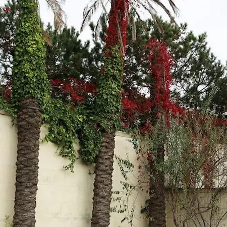 Beyaz Koesk וילה