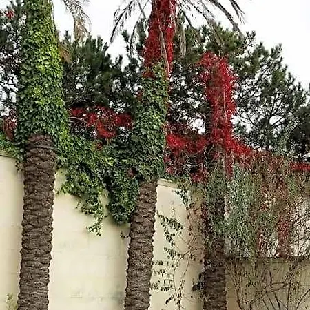 Beyaz Villa *